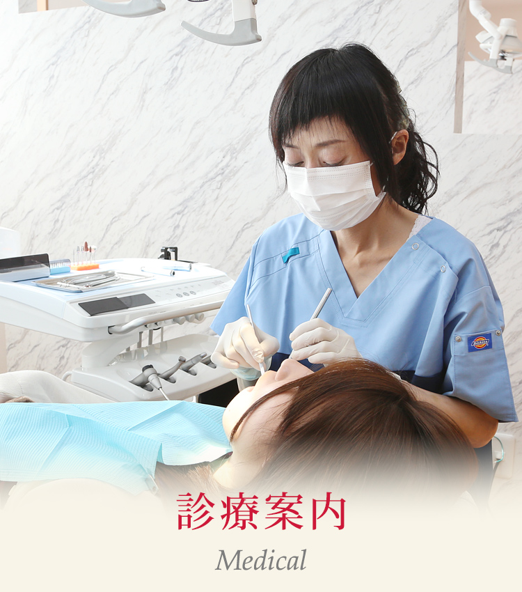 診療案内